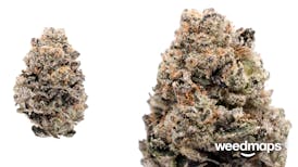 GS Cookies