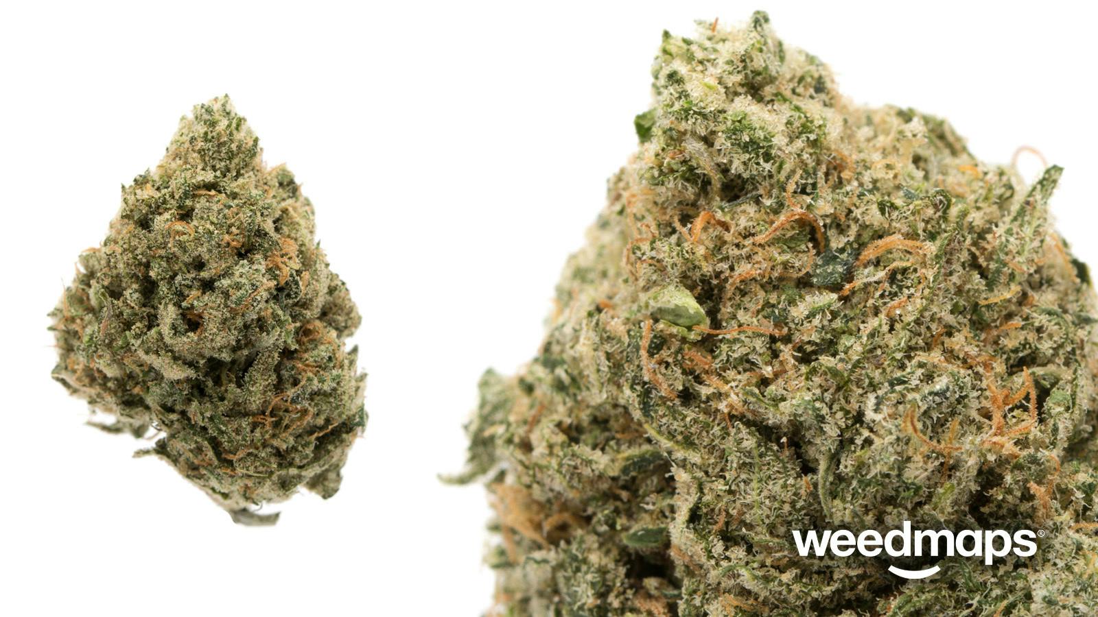 Blue Dream