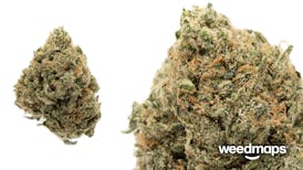 Blue Dream