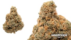 Super Lemon Haze