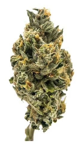New Altitude Farms - Hollywood Kush Kake - 3.5g