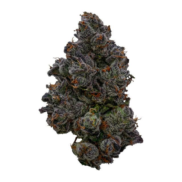 GDF: Flower | Succulent Squeeze