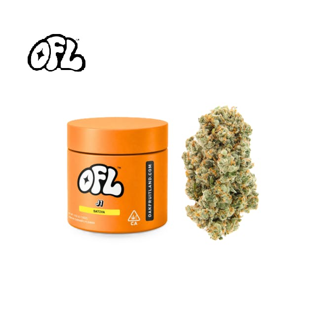 J1 3.5G
