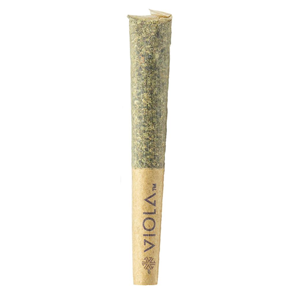Viola - Bucketz Loosies Pre-Roll - 10x0.3g