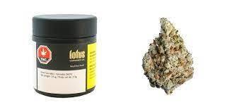 Lotus - Keylime Kush - 3.5g