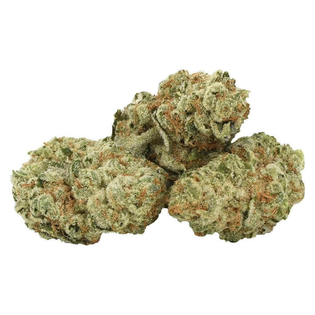 Highly Dutch Organic - Middelburg Hybrid - 28g