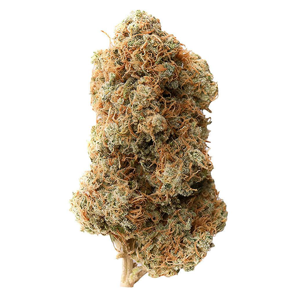 OGEN - Retro Release - 7g