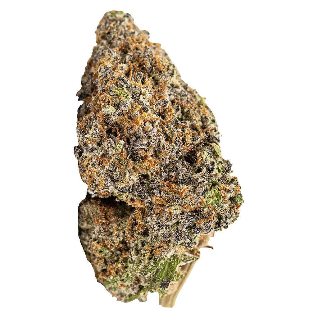 Sheeesh! Everyday - Dia De Los Muertos - 7g