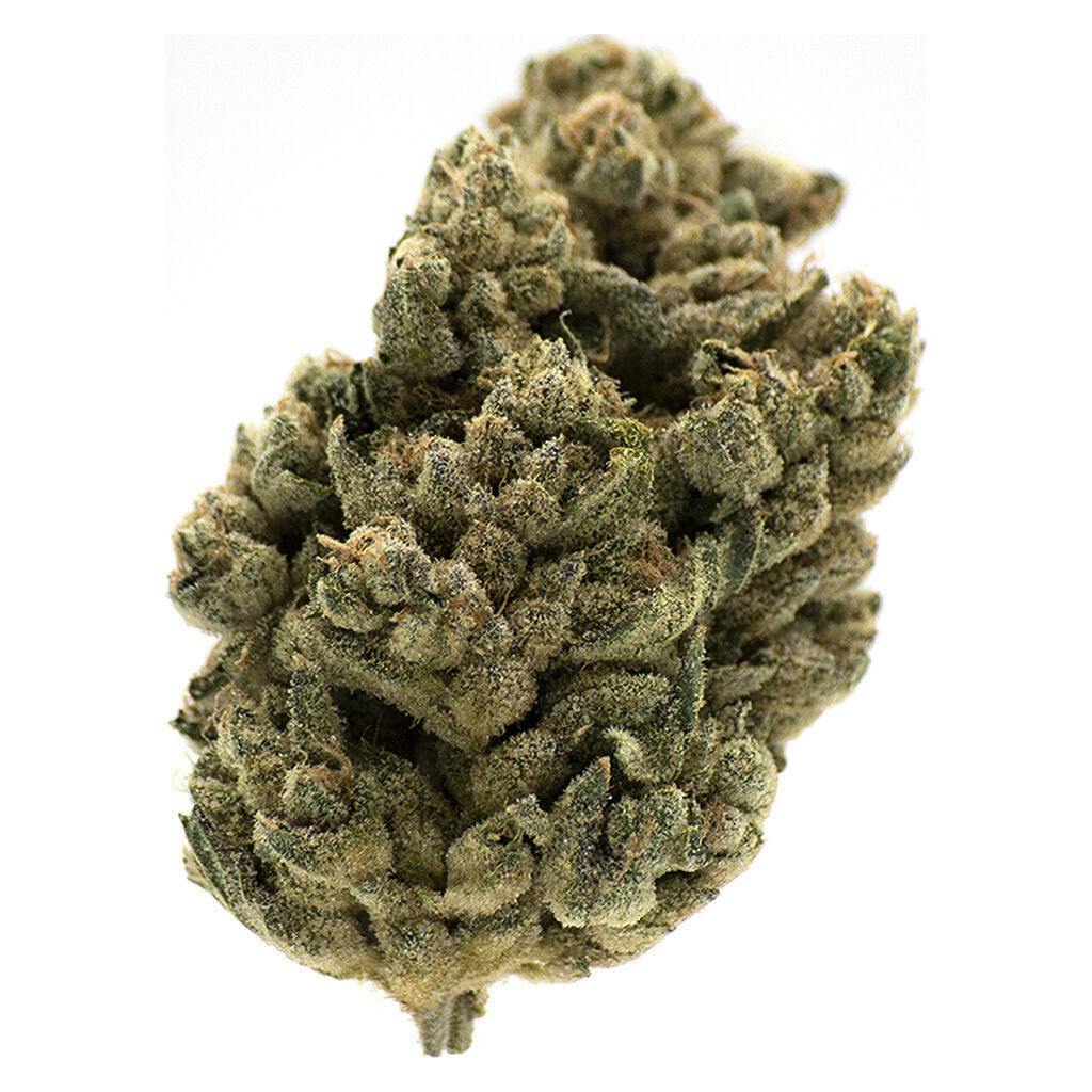 MTL Cannabis - Jungl' Cake - 3.5g