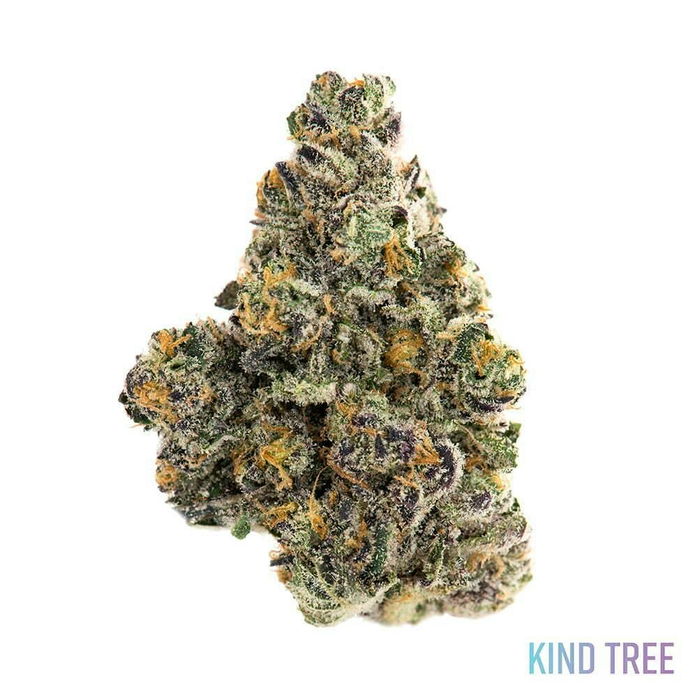 Kind Tree WB 7g Smalls