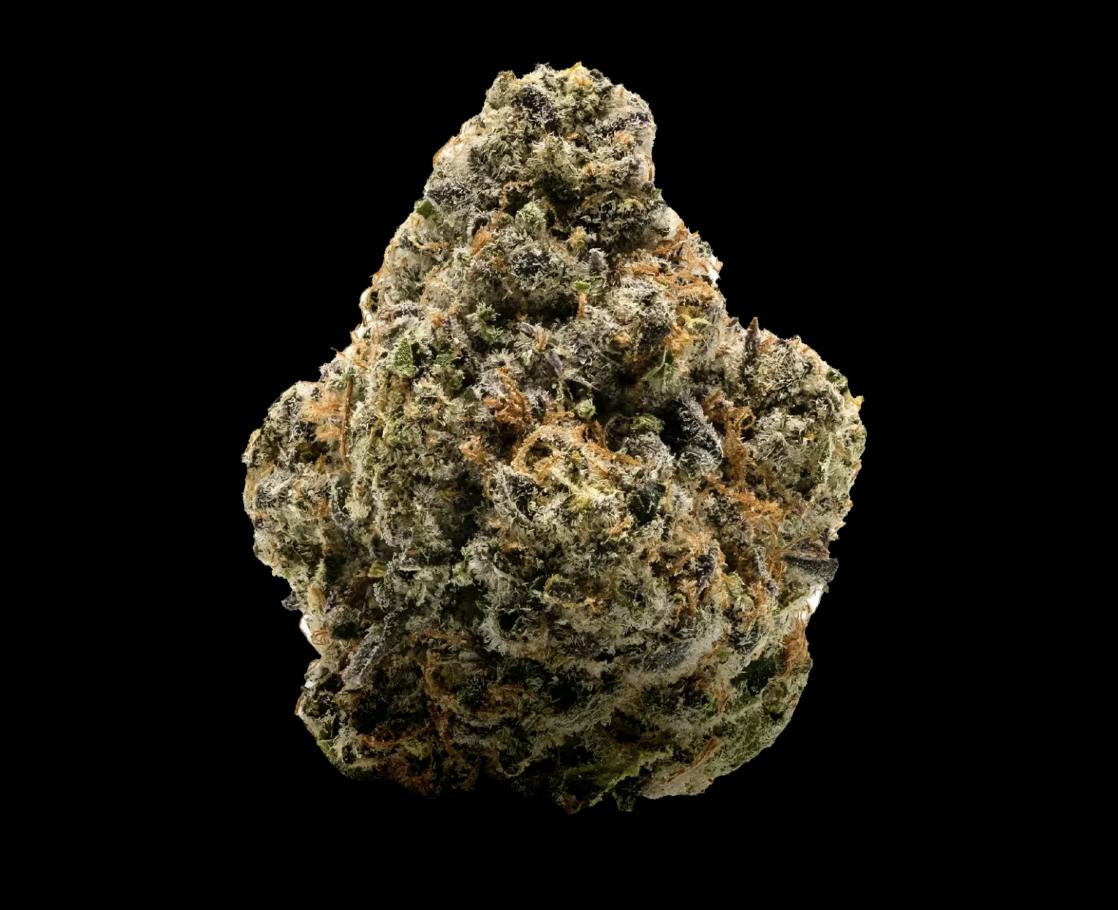 Notorious THC