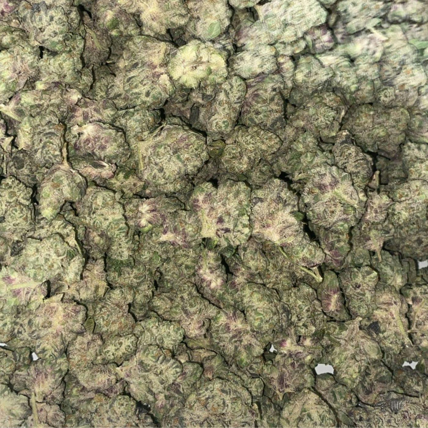 Loud Tier - NKT Investments - Lion Og Bulk Buds