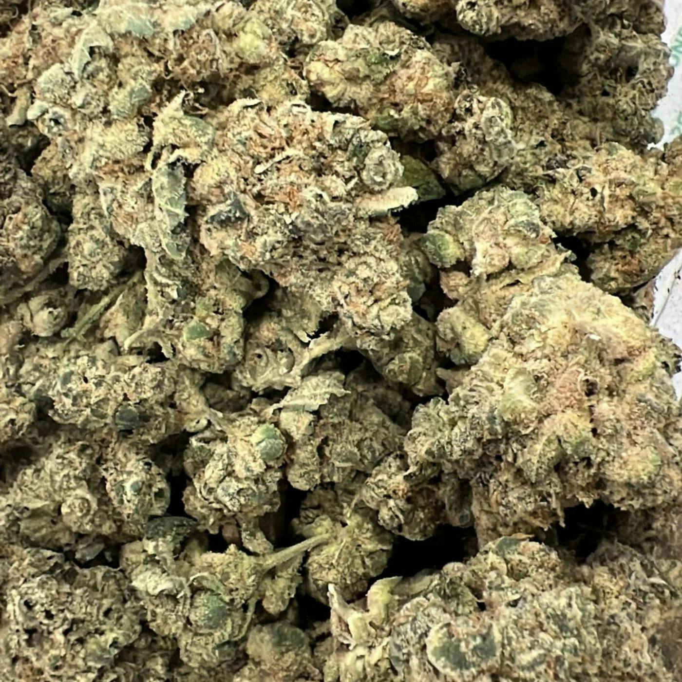 Loud Tier - Vanilla Sunshine - Northern Lights Bulk Bud