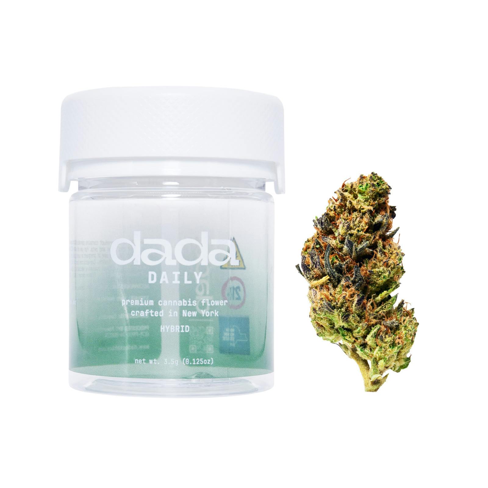 Dada | Govt Oasis | Flower (3.5g) at Union Chill Cannabis Corning Dispensary