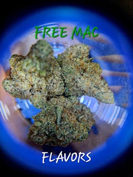 FREE MAC
