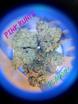 PINK RUNTZ