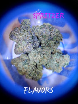 GP- SPRITZER FLOWER