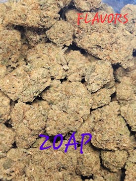 GP- ZOAP FLOWER