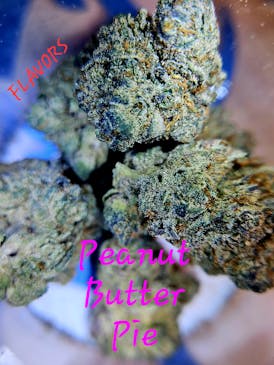 GP- PEANUT BUTTER PIE FLOWER