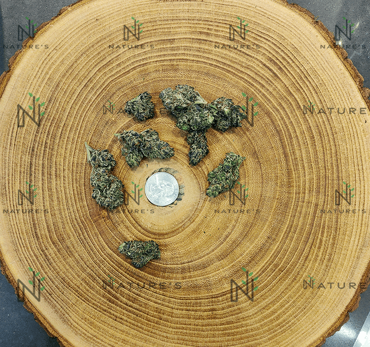 Nature's Connoisseur Shelf Beaver Cookies Bulk