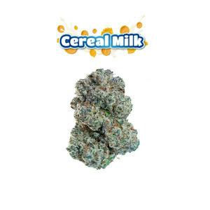 Cereal Milk | Big Buds Jar | 7g
