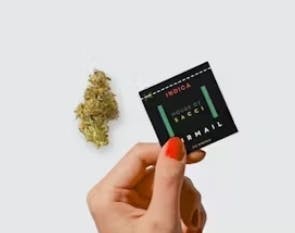 House of Sacci | Dime Flower | Airmail (Indica) | .7g | DF17 at Nucleus Dispensary Inc