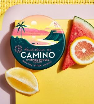 Camino - Bliss — Watermelon Lemonade