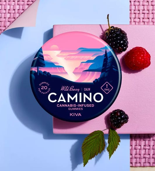 Camino - Chill — Wild Berry