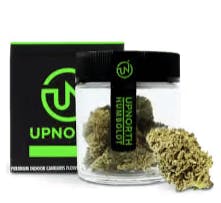 UpNorth - Master — Kush