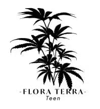 Flora Terra - Lemon Cherry Gelato X Bx1 Teen