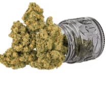 TOP SHELF — Cultivation - Gas Face
