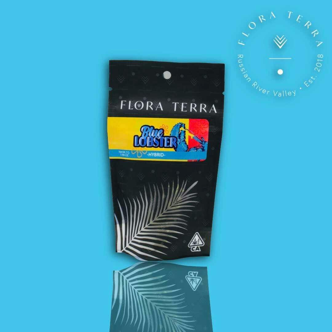Flora Terra - — Blue Lobster