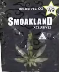 Smoakland - Jack: Flash