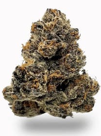 SATTVA Cannabis: Blue Dream