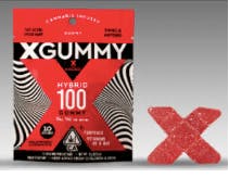 Kikoko - Hybrid X-Gummy 100mg