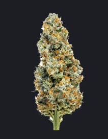 Luci Canna Co.: Lemon Peel