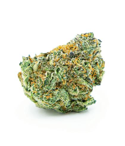 Wave Rider - Tres Leches 7g