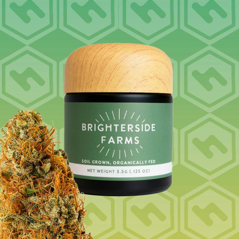 Brighterside Farms | Razzberry Hash Plant