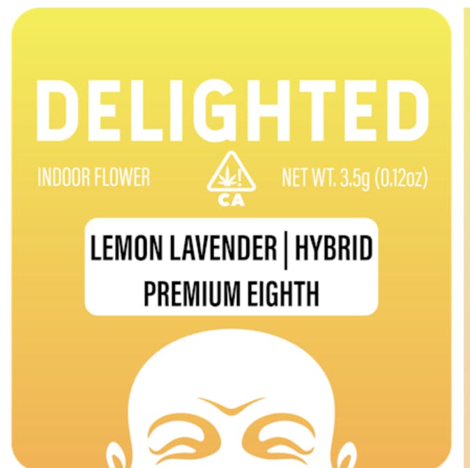 DELIGHTED - INDOOR — Dark Rainbow