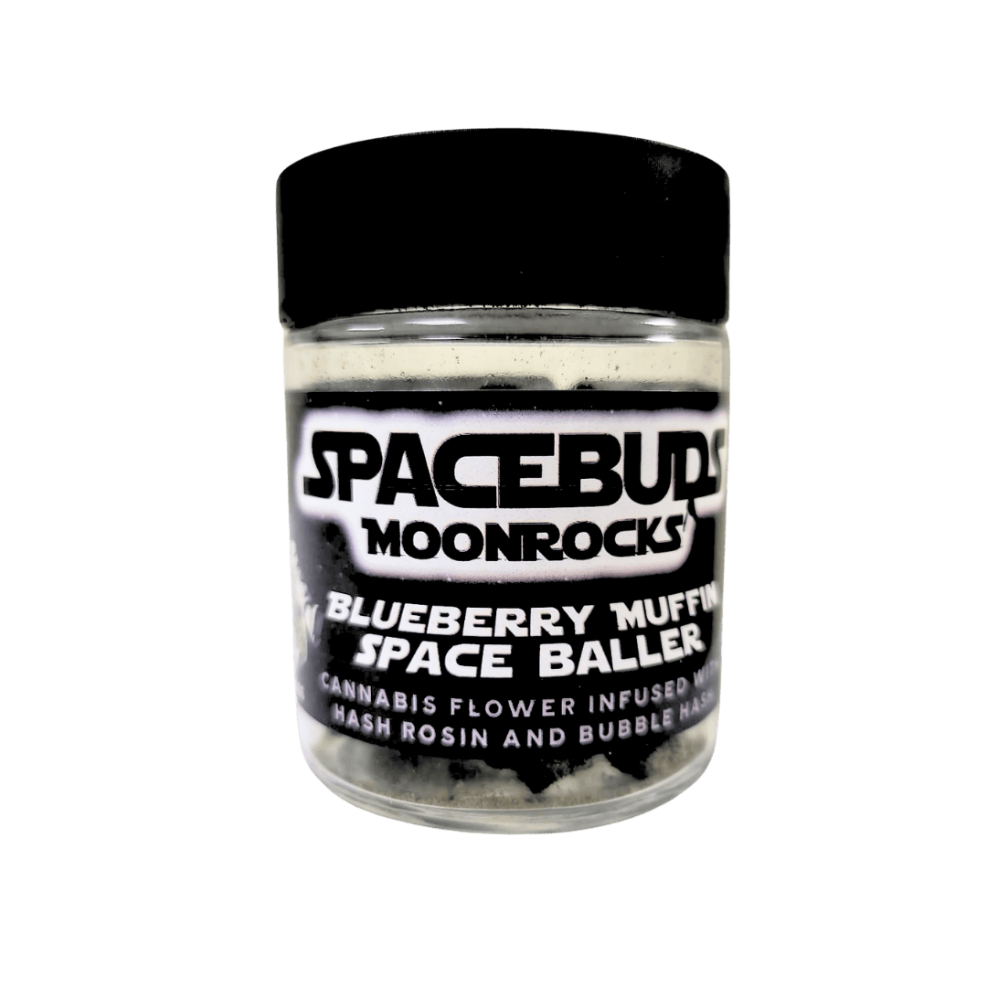 Moonrocks Blueberry Muffin