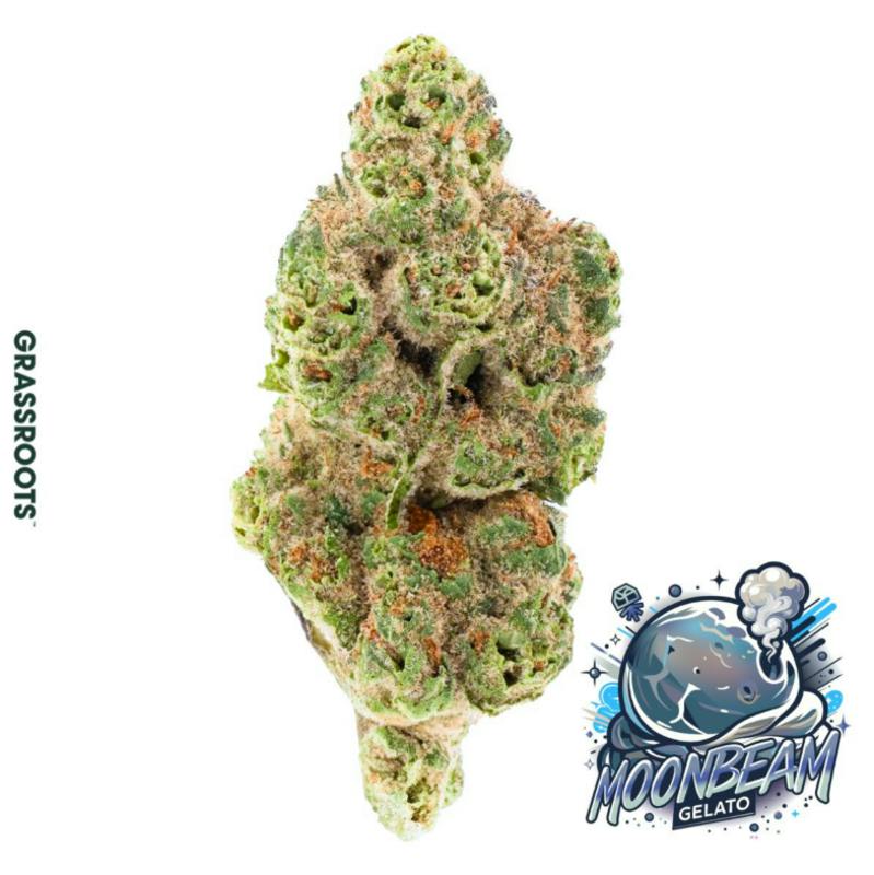 Moonbeam Gelato