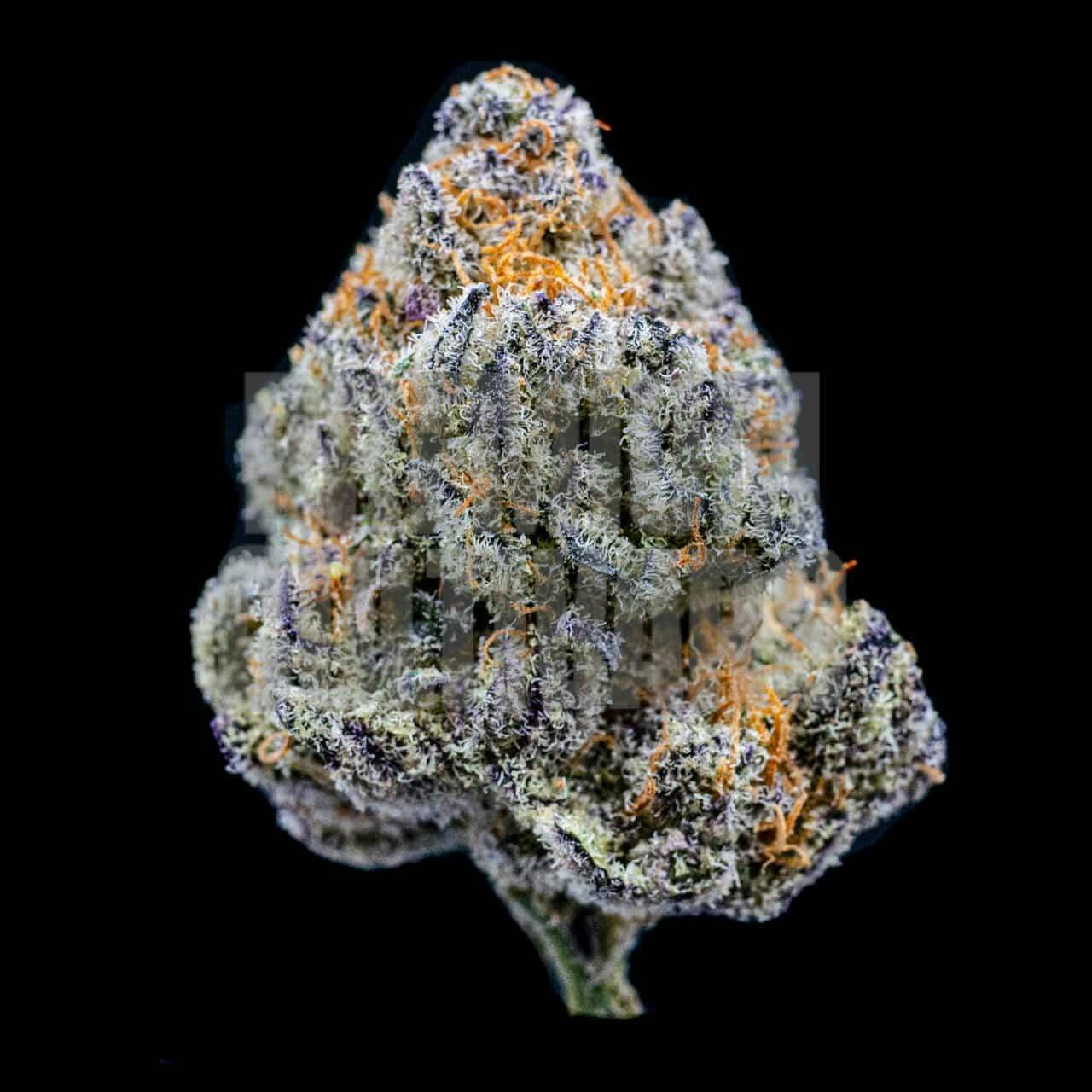 WHITE LABEL | GELONADE | PRE-PACK | 1OZ | SATIVA / HYBRID