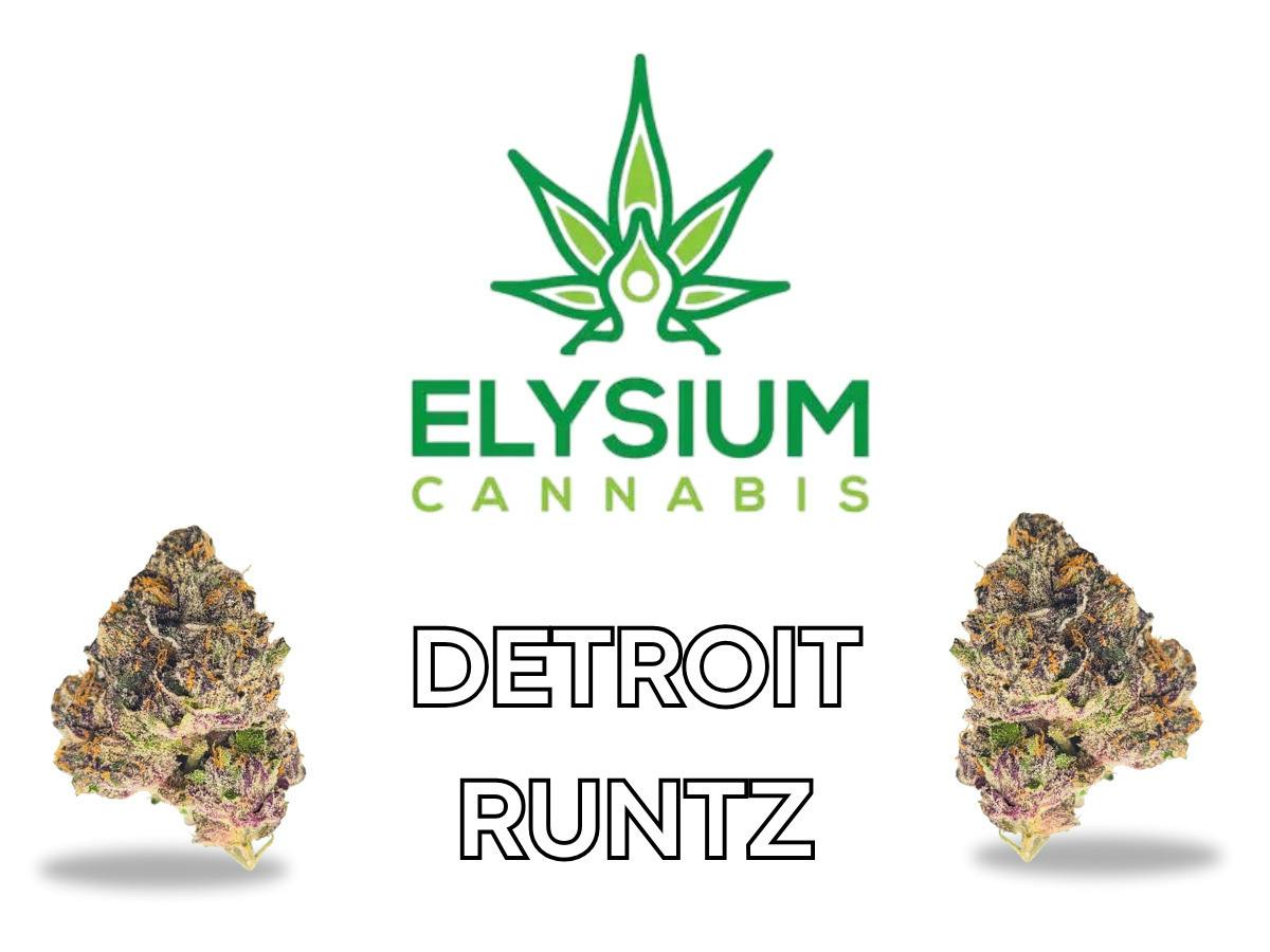 ELYSIUM | DETROIT RUNTZ | BULK | HYBRID