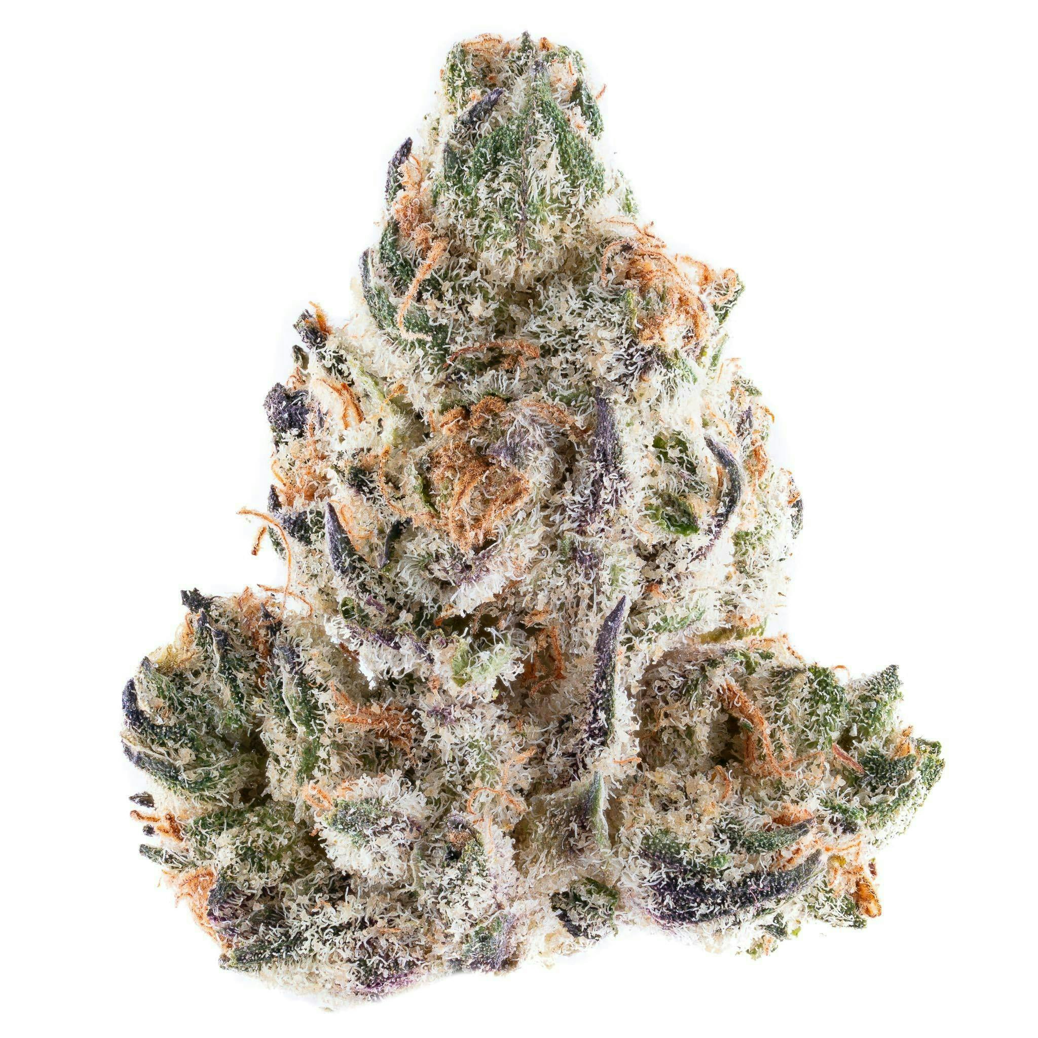 DRAGONFLY | JELLY RANCHER | BULK | SATIVA