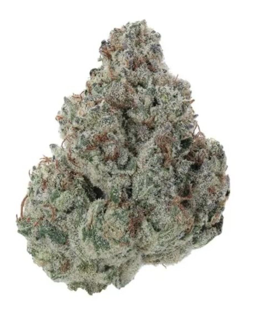L Donny Burger | Flower Case | Pre-Packed 4g (Flowers/Buds - Packaged)