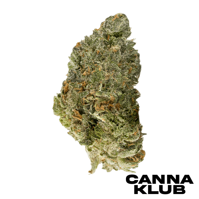 GLACIER FALLS 1.2G SNOW GLOBE at Canna Klub Rose City, Recreational Marijuana Dispensary