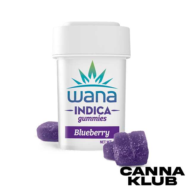 200MG BLUEBERRY GUMMIES