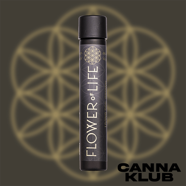 WHITE WEDDING 1G LIVING SOIL ORGANIC PRE ROLL