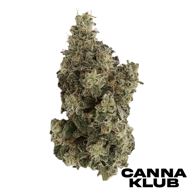 KING CHERRY 7G *2 FOR 70*