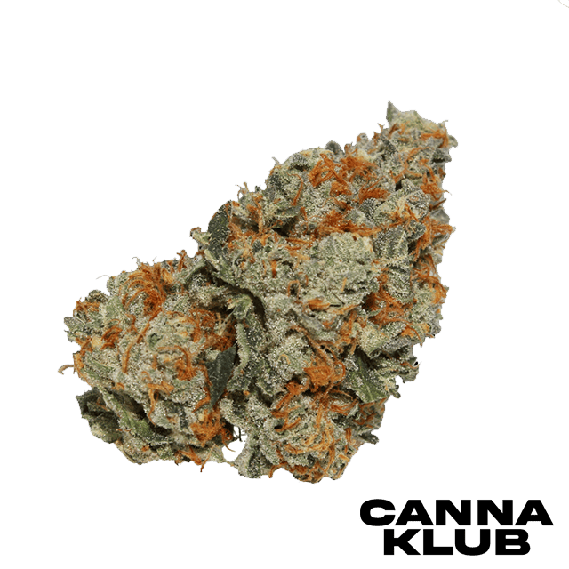 RED VELVET 3.5G at Canna Klub Rose City, Recreational Marijuana Dispensary